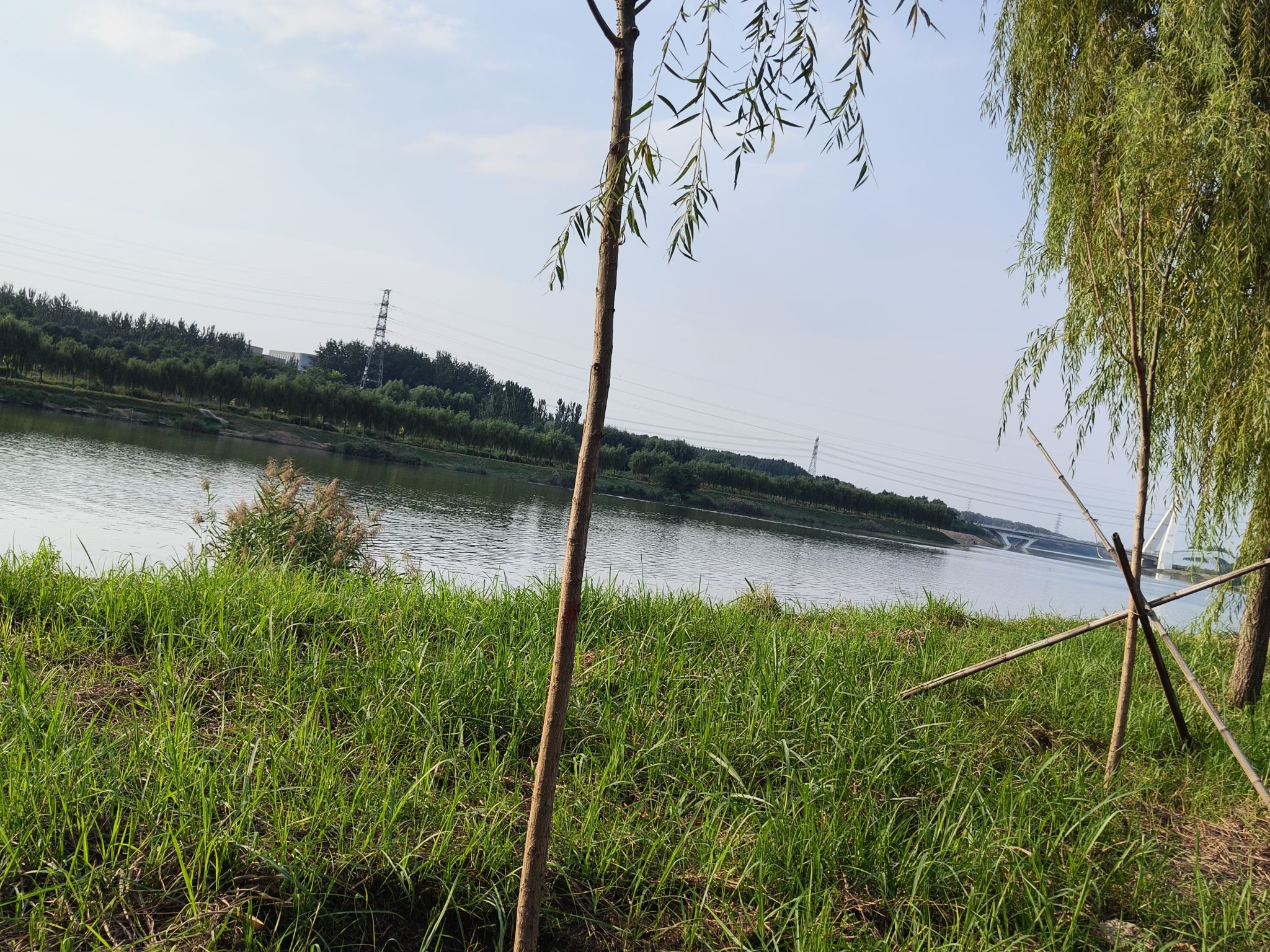 温榆河滨河森林公园北区旅行图片 1