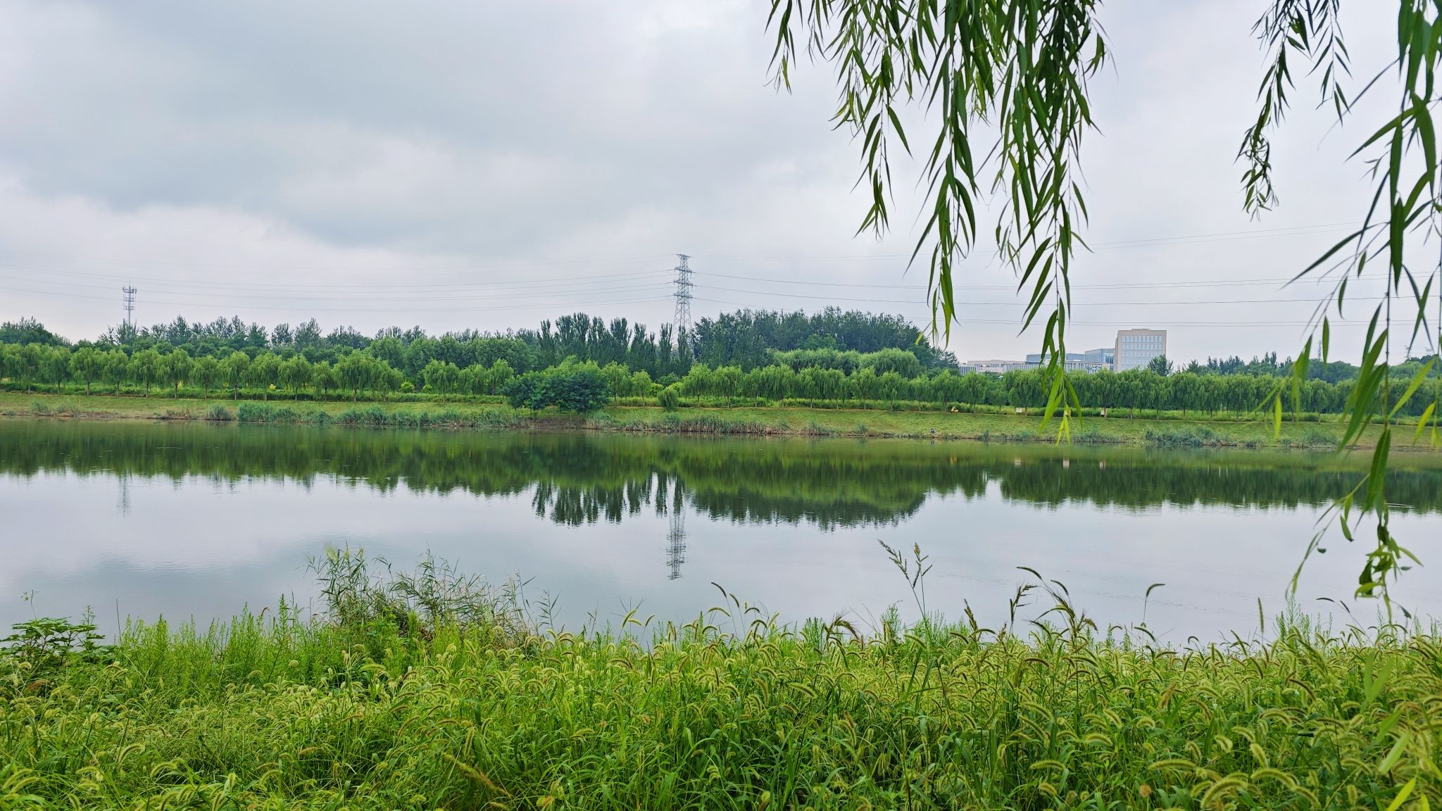 温榆河滨河森林公园北区旅行图片 2