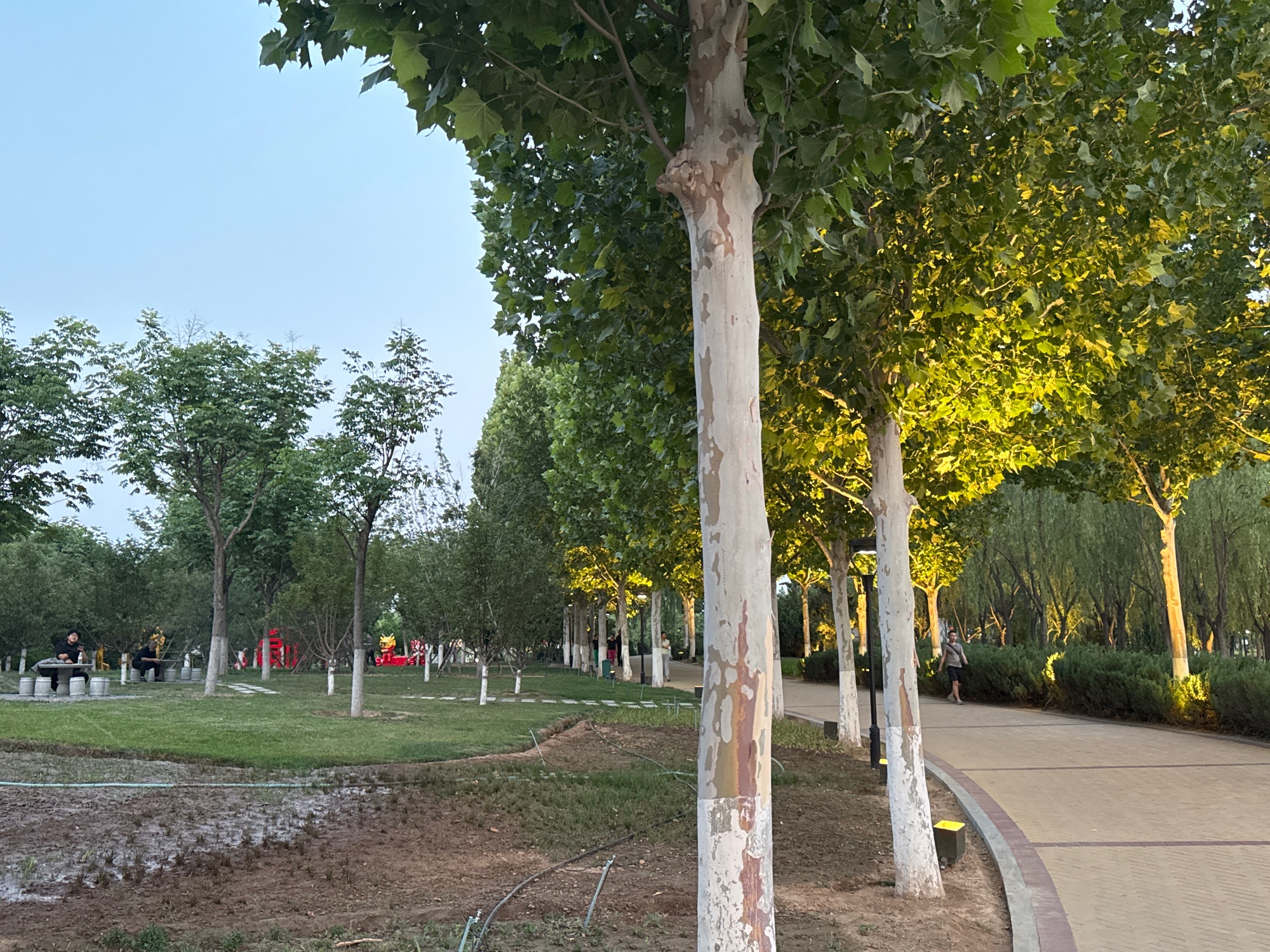 孝妇河湿地公园旅行图片 2