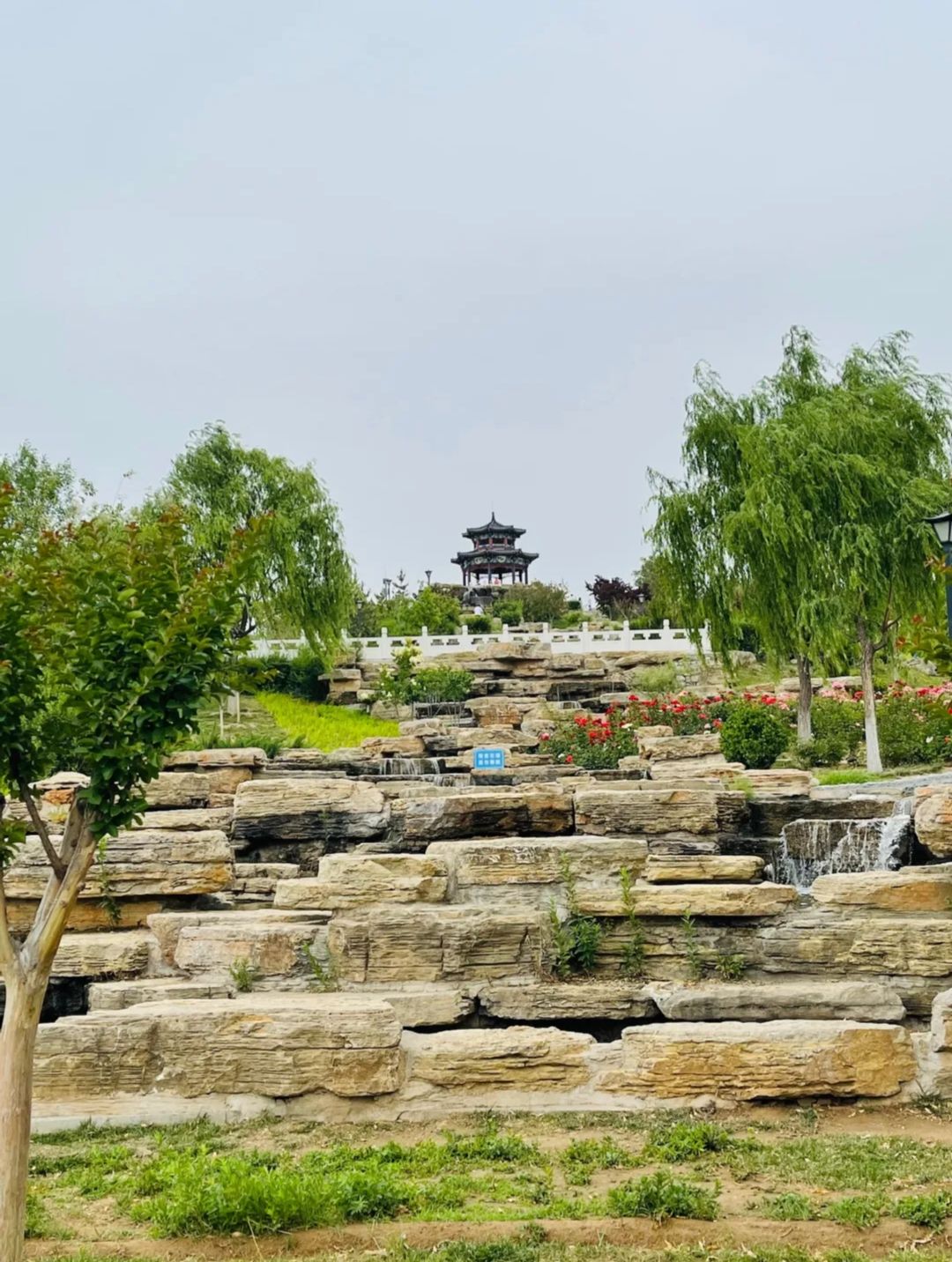 孝妇河湿地公园旅行图片 1