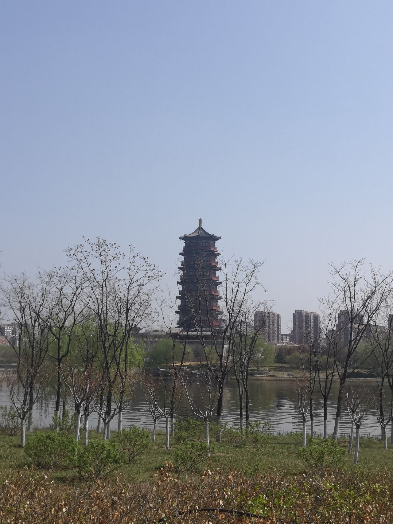 孝妇河湿地公园旅行图片 1