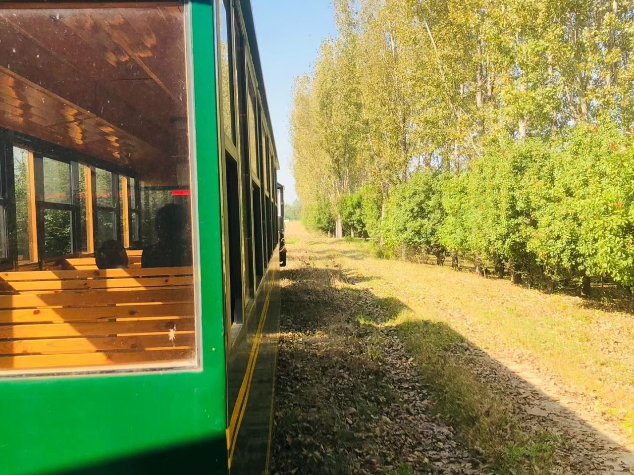 秋湖湿地公园旅行图片 2