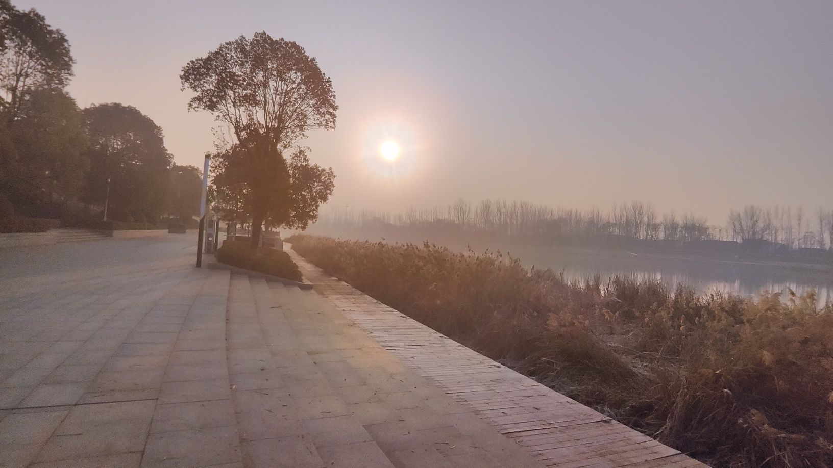 秋湖湿地公园旅行图片 2