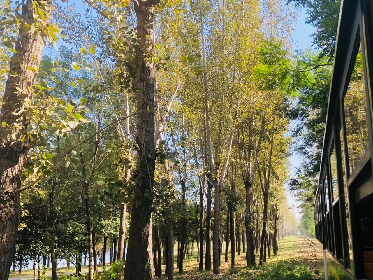 秋湖湿地公园旅行图片 1