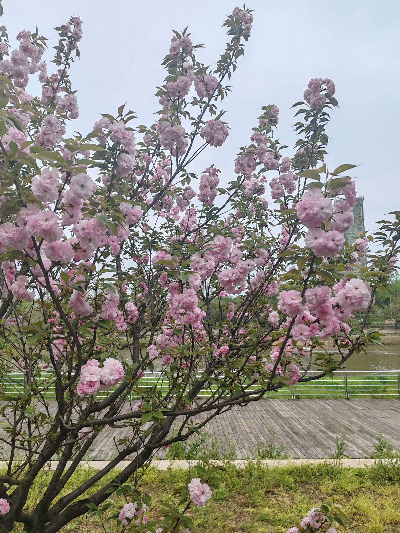 三翁花园旅行图片 3