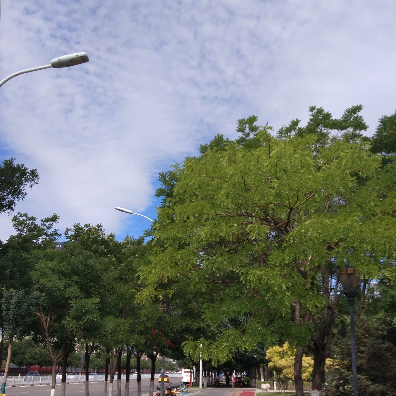 银匠窑市民公园旅行图片 3