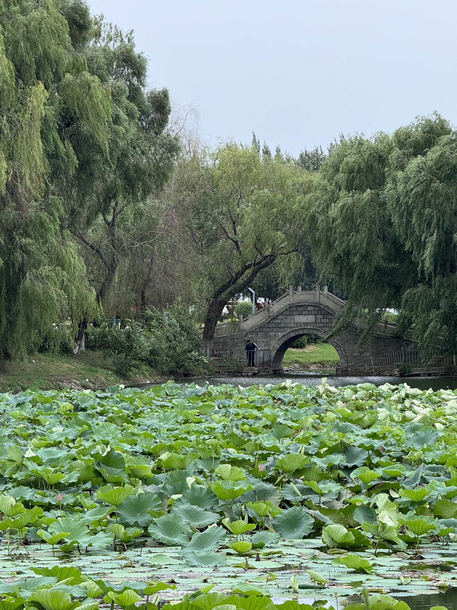 虎石台公园旅行图片 3