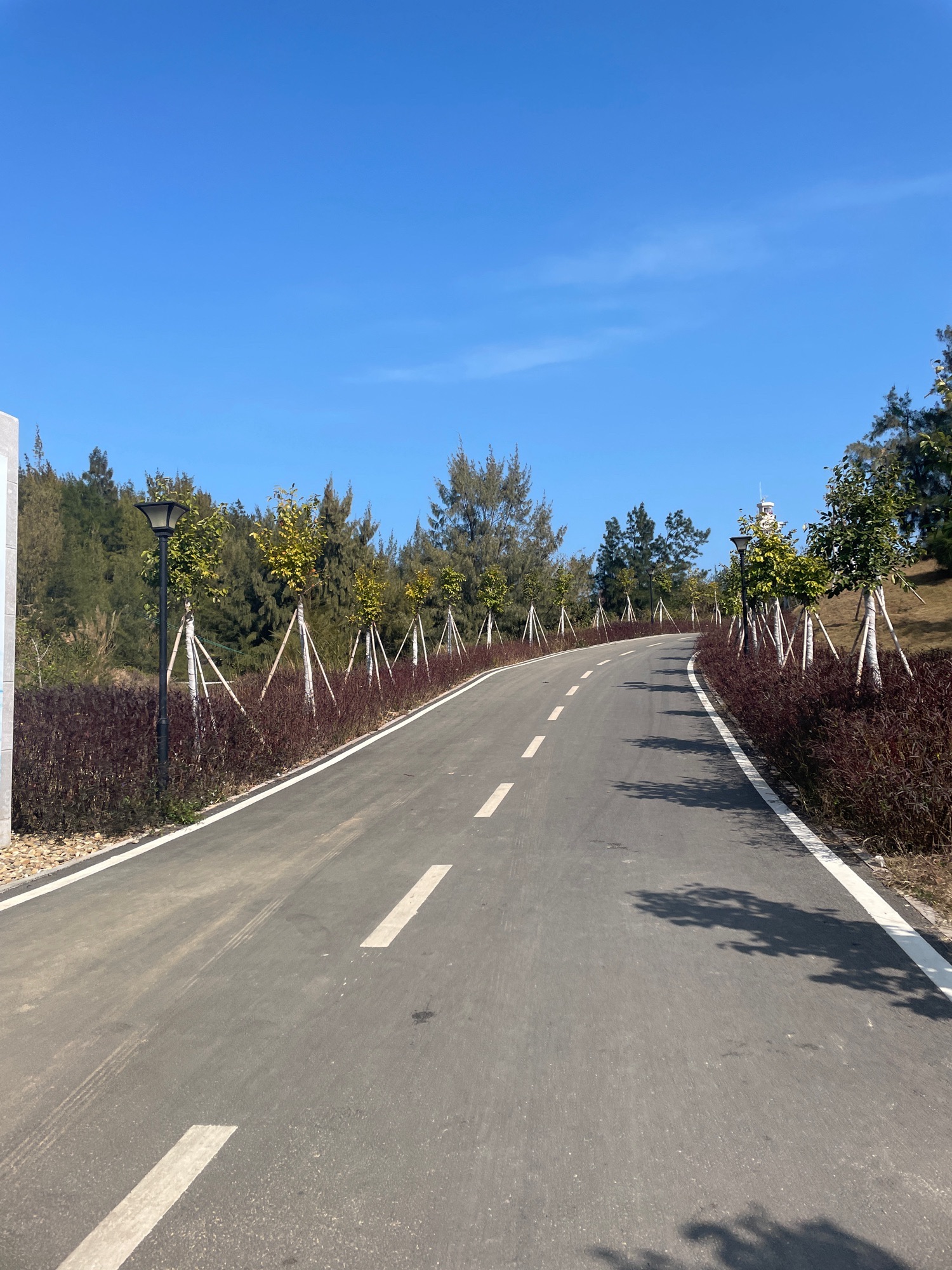 惠来县石碑山灯塔旅行图片 2