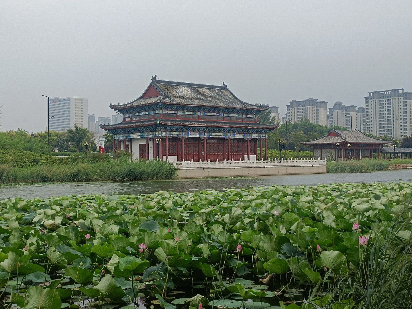 大清河公园旅行图片 3
