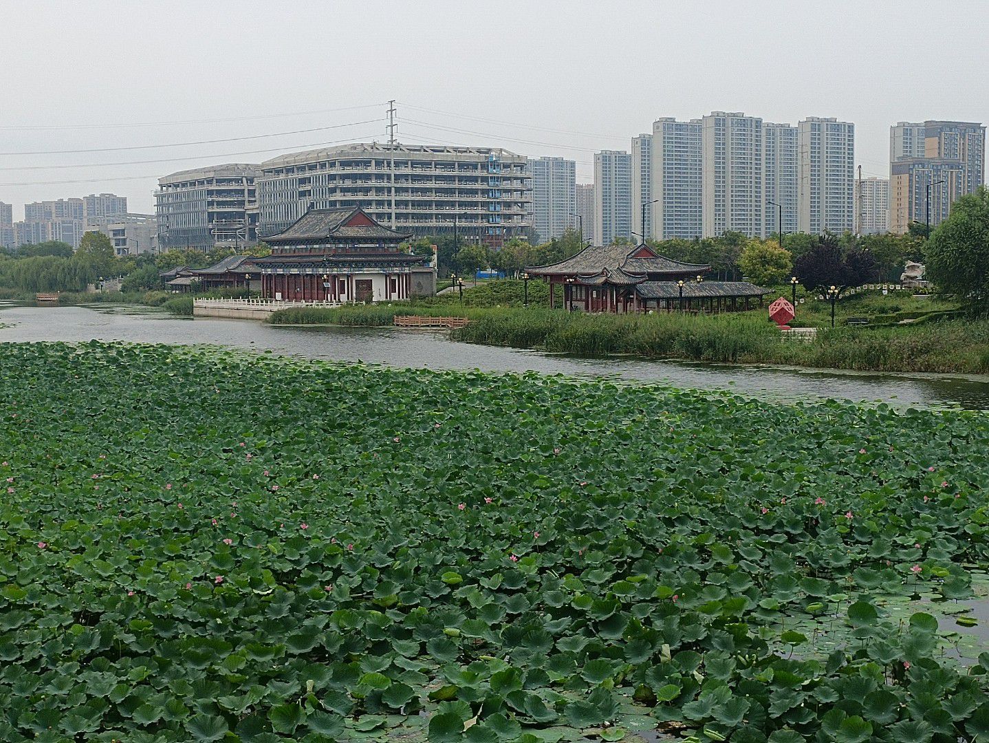大清河公园旅行图片 2