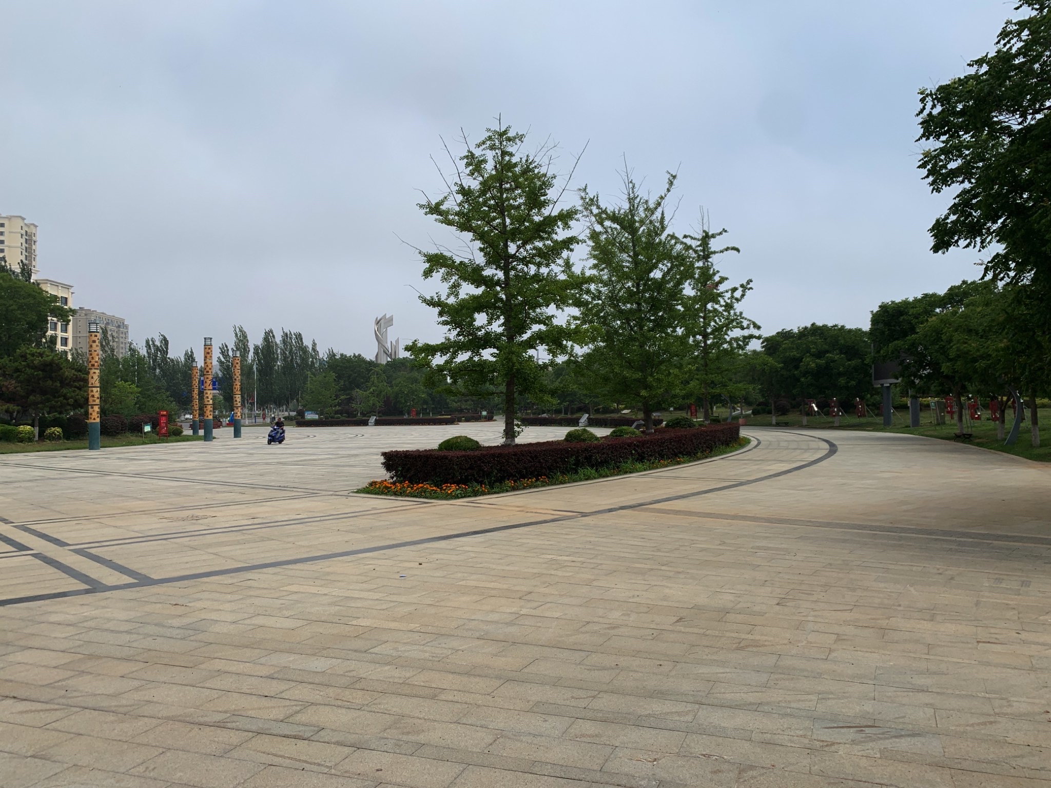 兴城湿地公园旅行图片 2