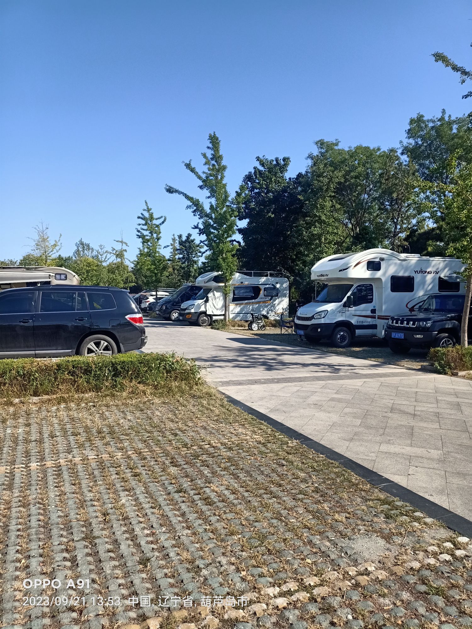 兴城湿地公园旅行图片 1
