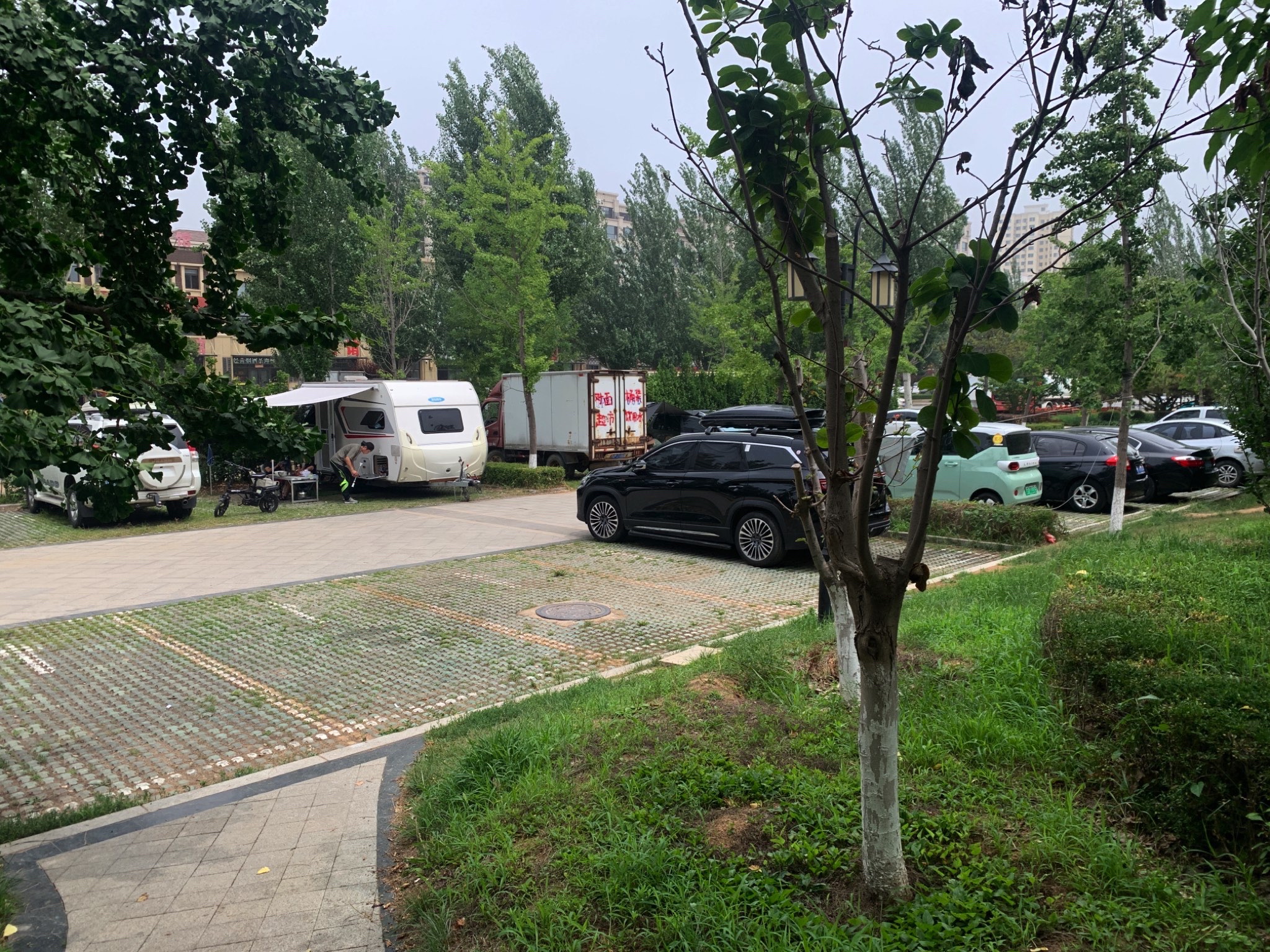 兴城湿地公园旅行图片 1