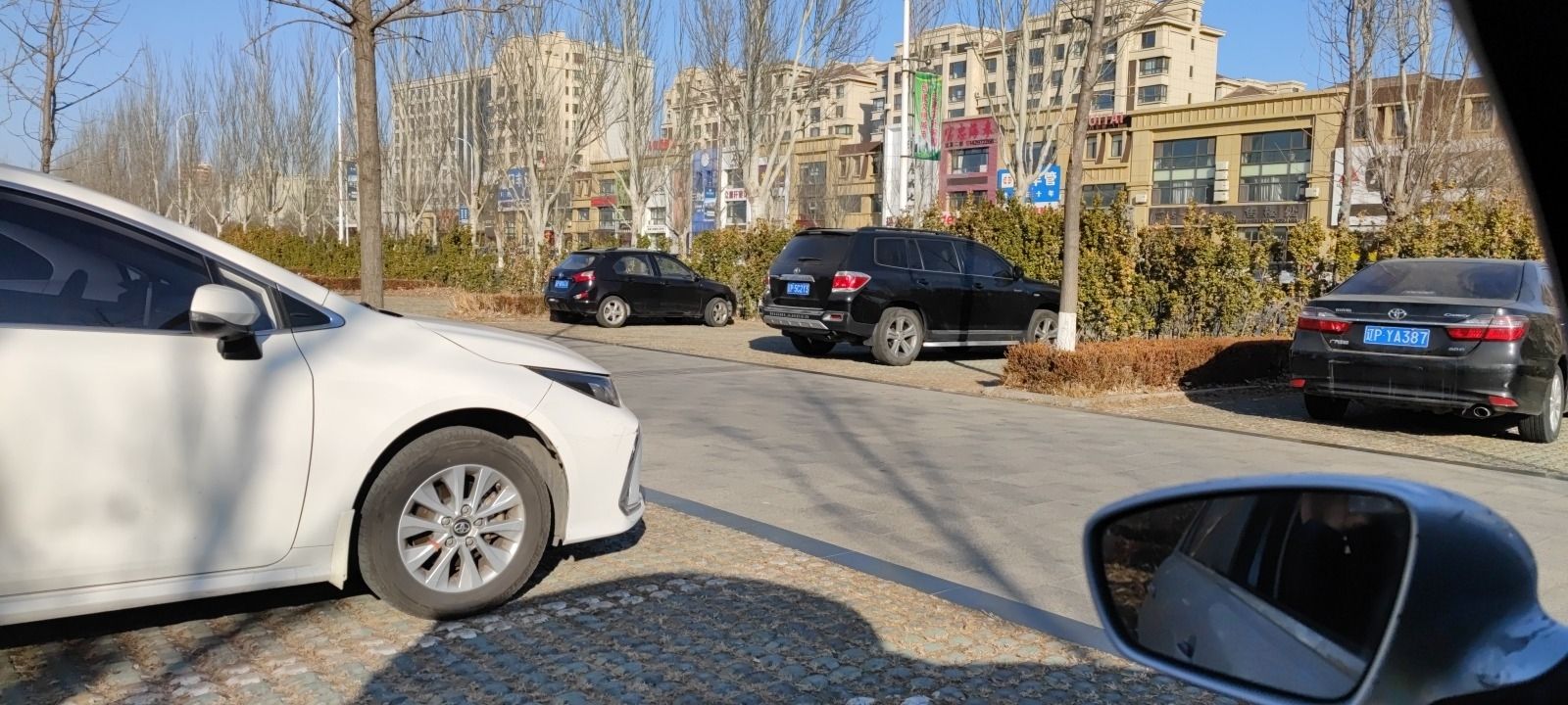 兴城湿地公园旅行图片 3