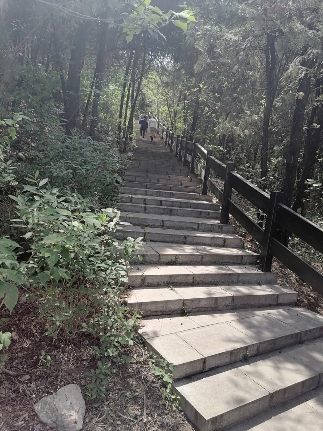 凤凰山生态文化风景区旅行图片 2