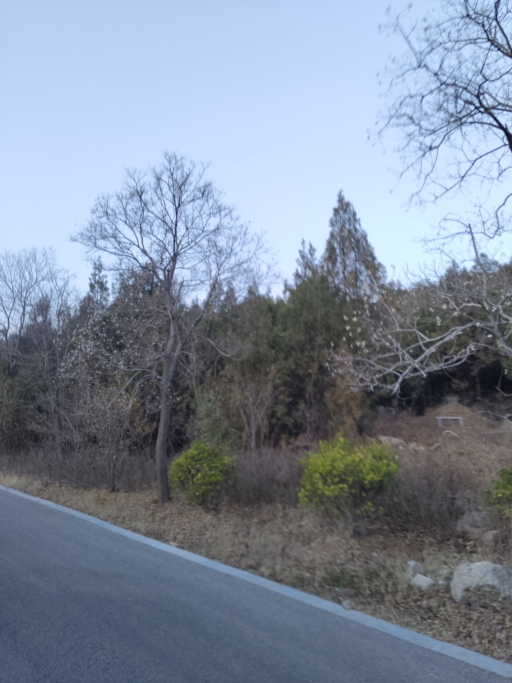 凤凰山生态文化风景区旅行图片 1