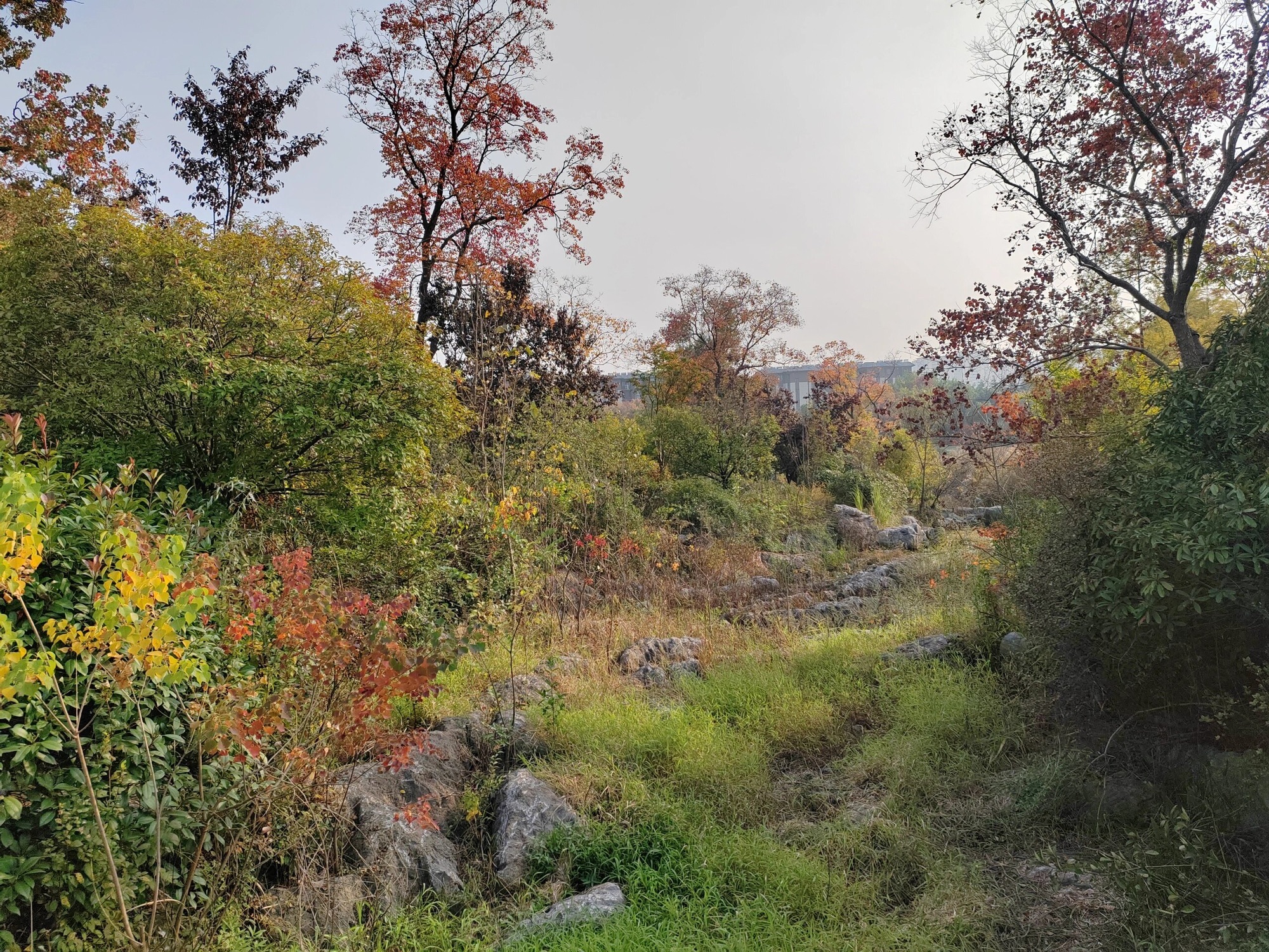 凤凰山生态文化风景区旅行图片 3