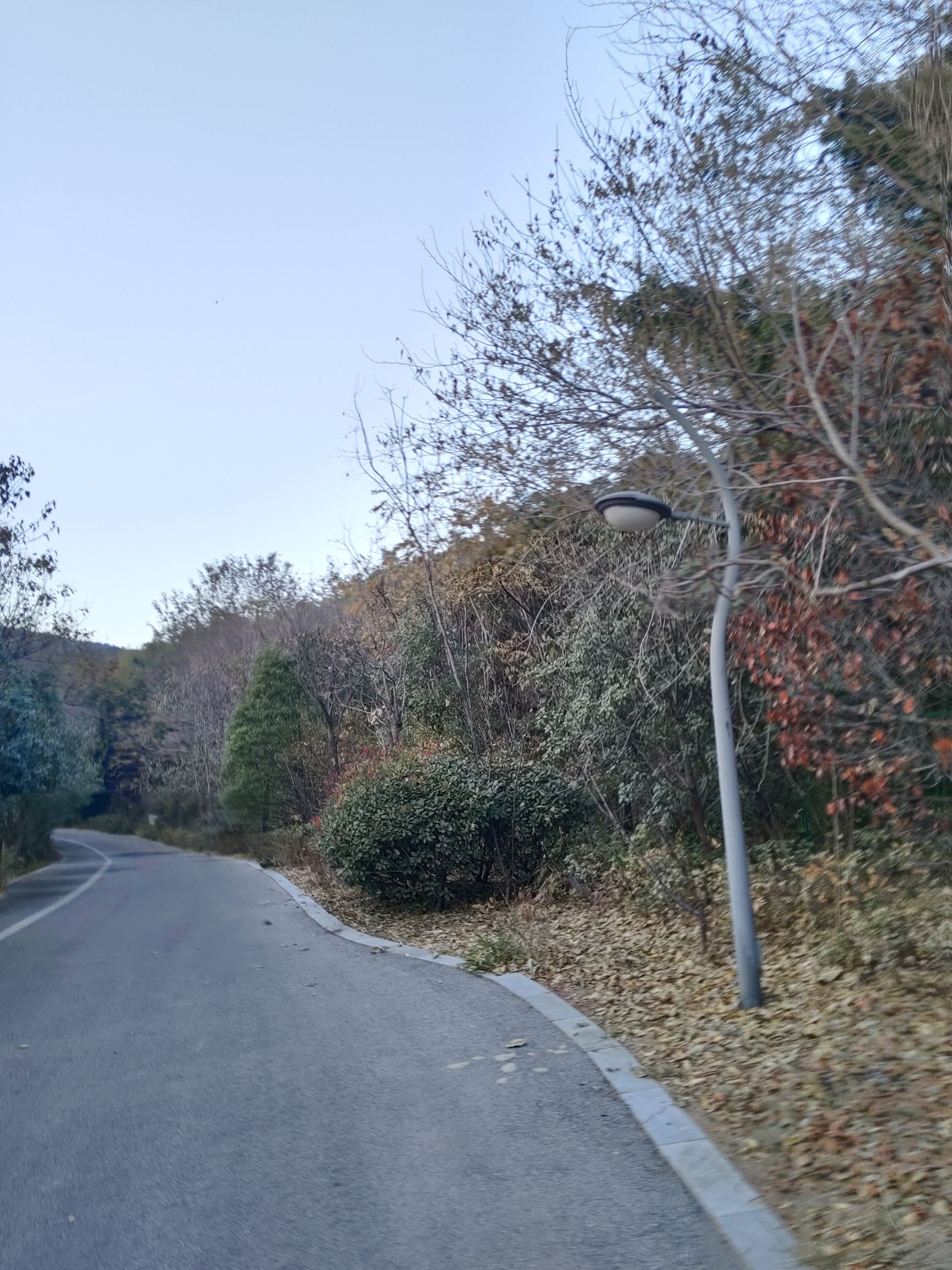 凤凰山生态文化风景区旅行图片 3