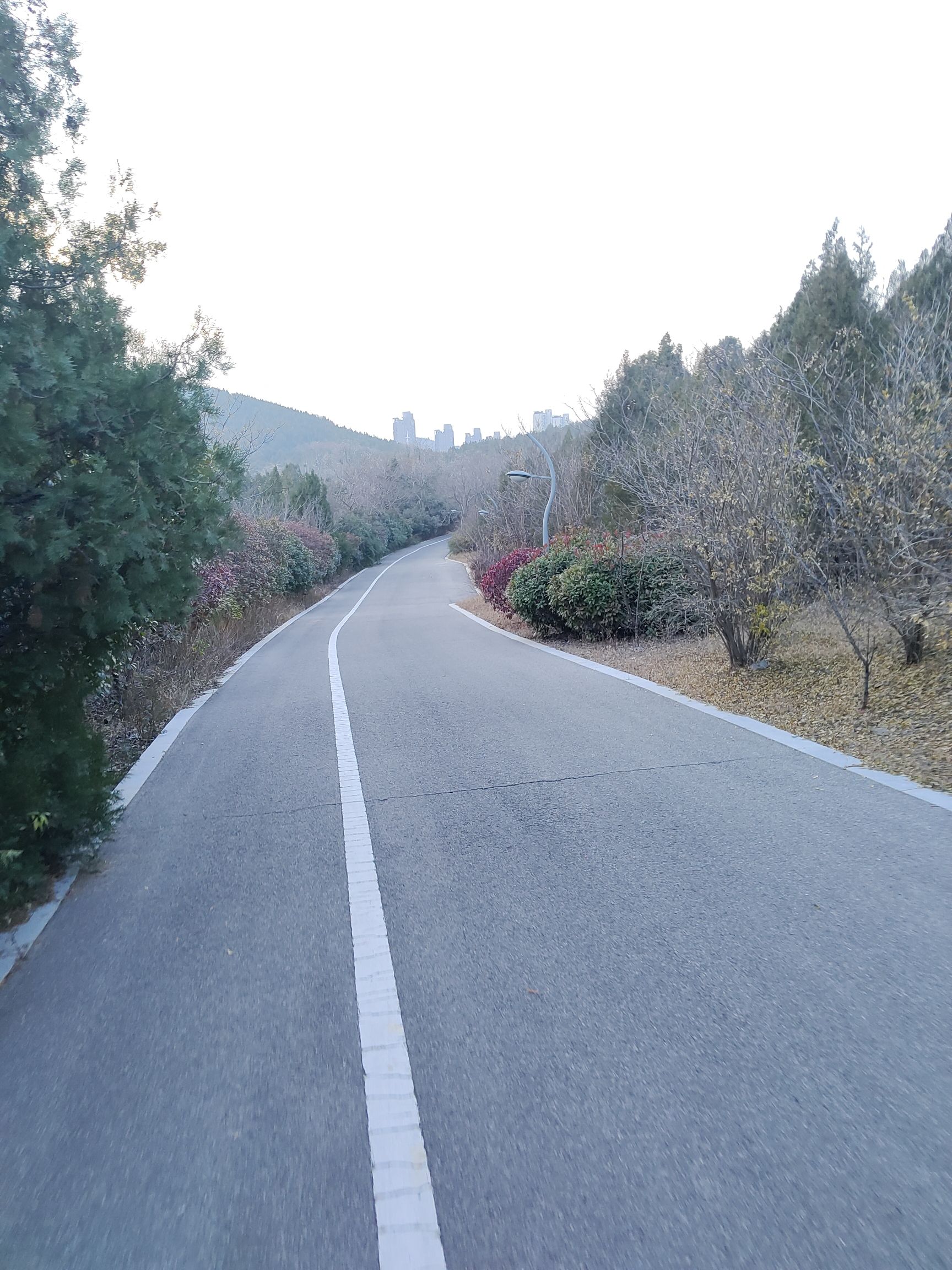 凤凰山生态文化风景区旅行图片 2