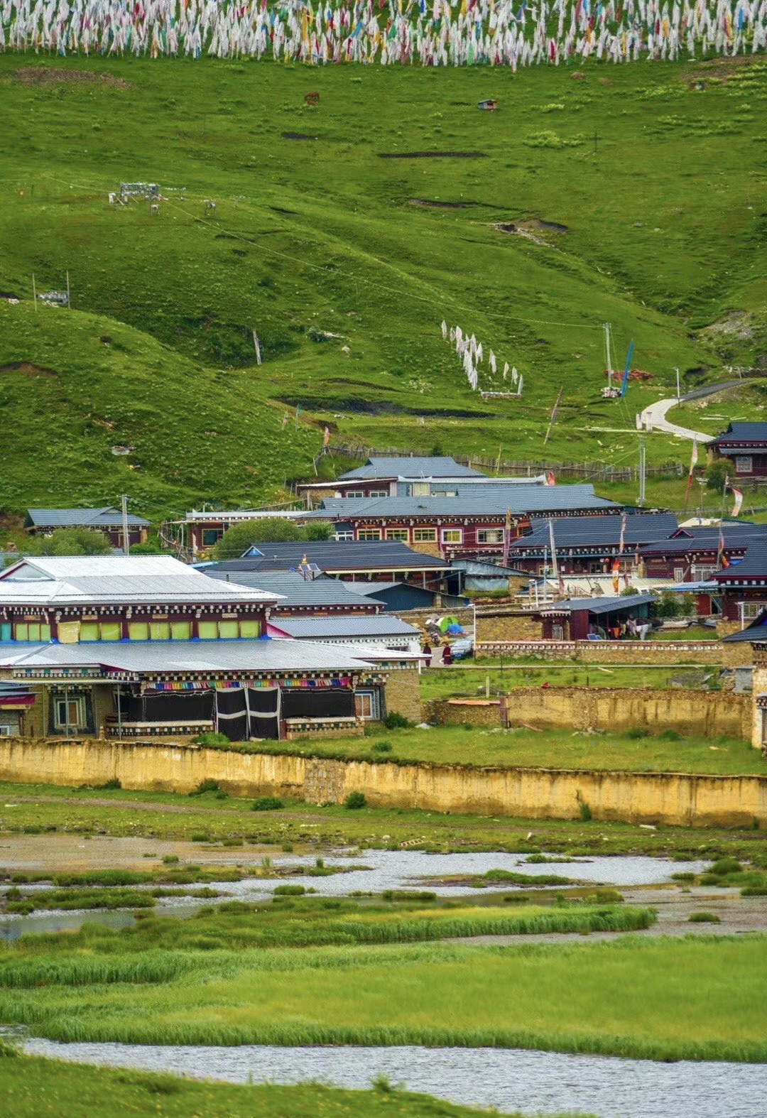 龙灯牧场旅行图片 2