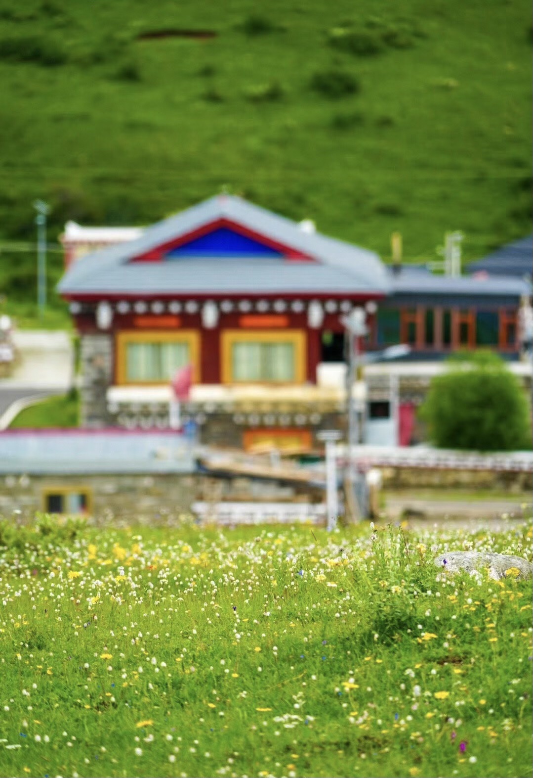 龙灯牧场旅行图片 3