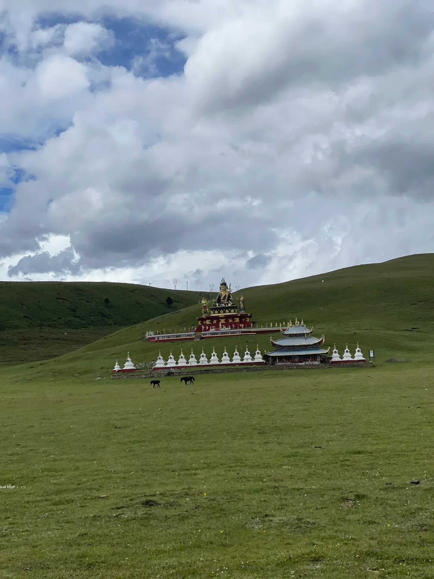 龙灯牧场旅行图片 1