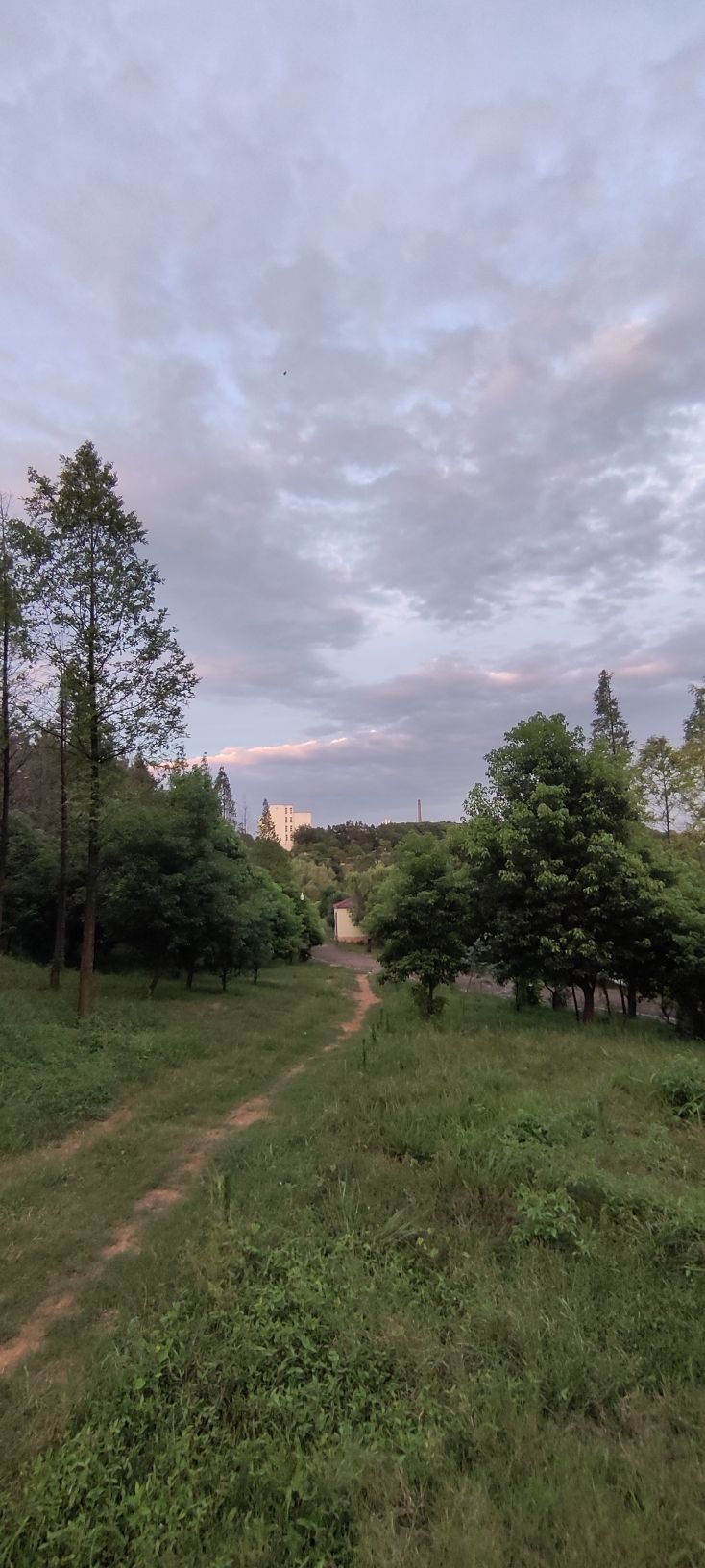 梨山公园旅行图片 1