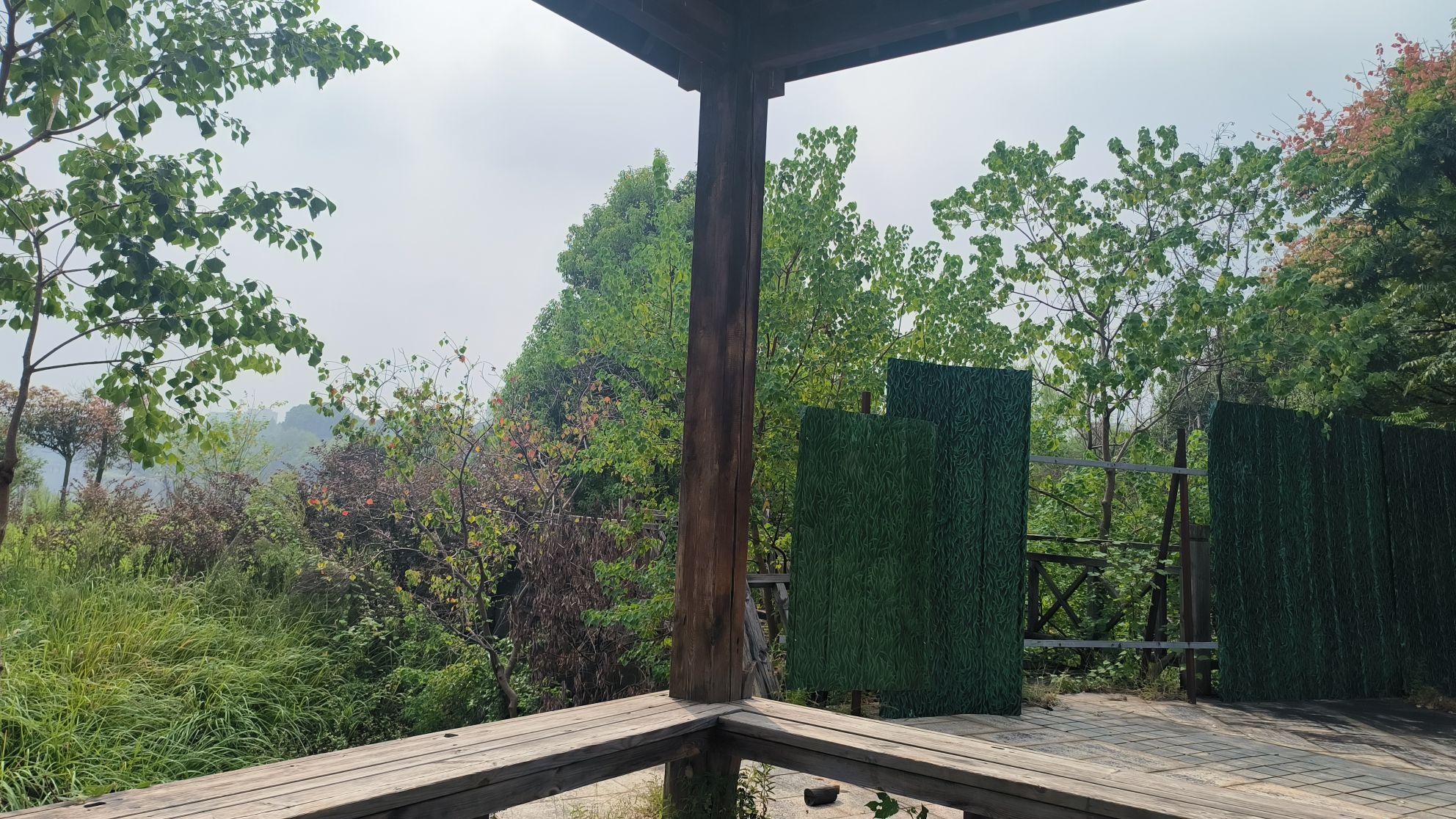 梨山公园旅行图片 3