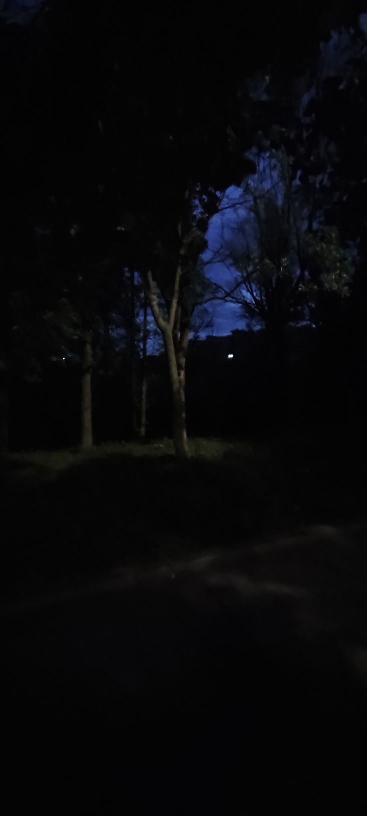 梨山公园旅行图片 2