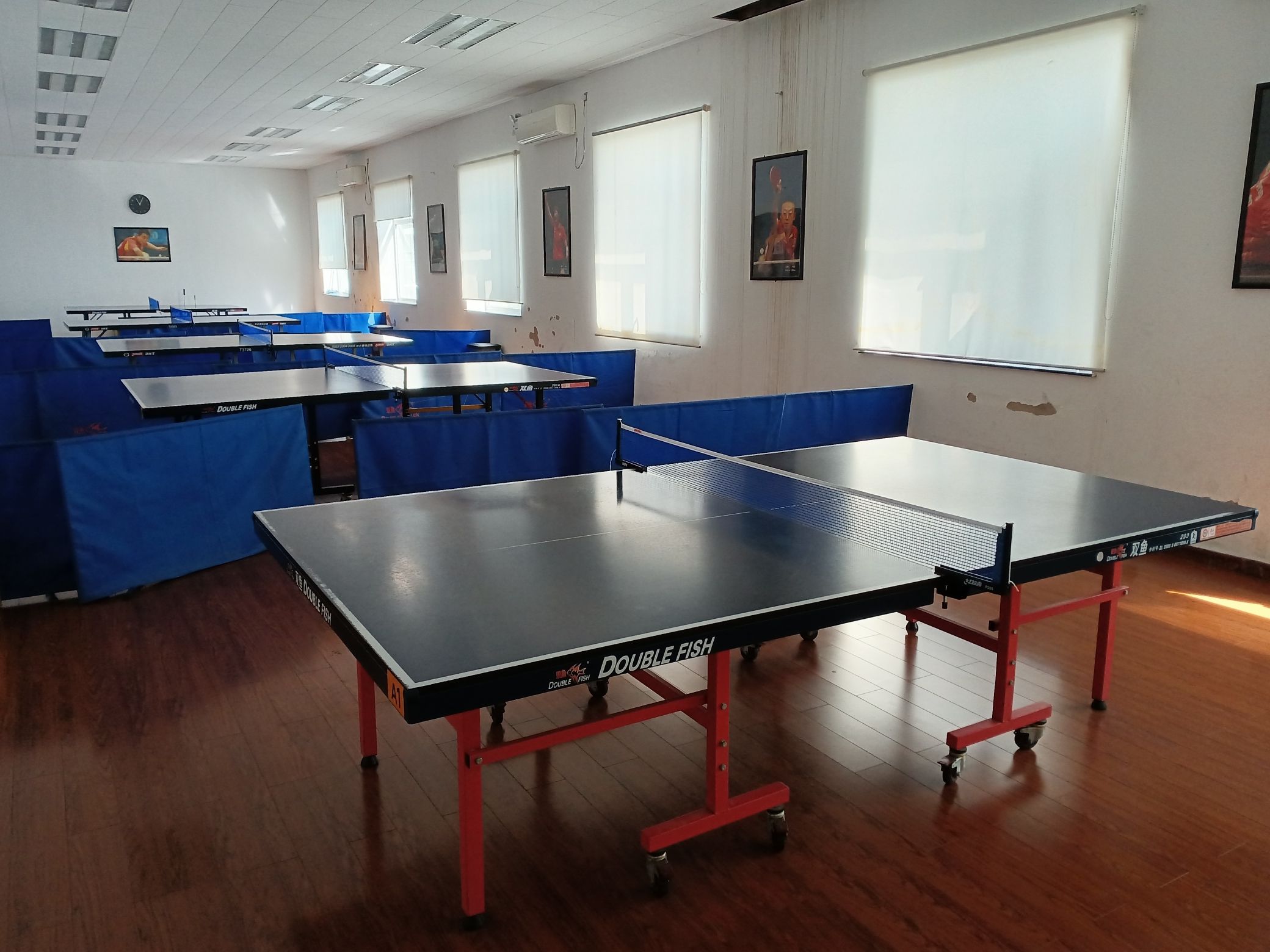 场地封面-北京市朝阳区和平街乒乓球健身园