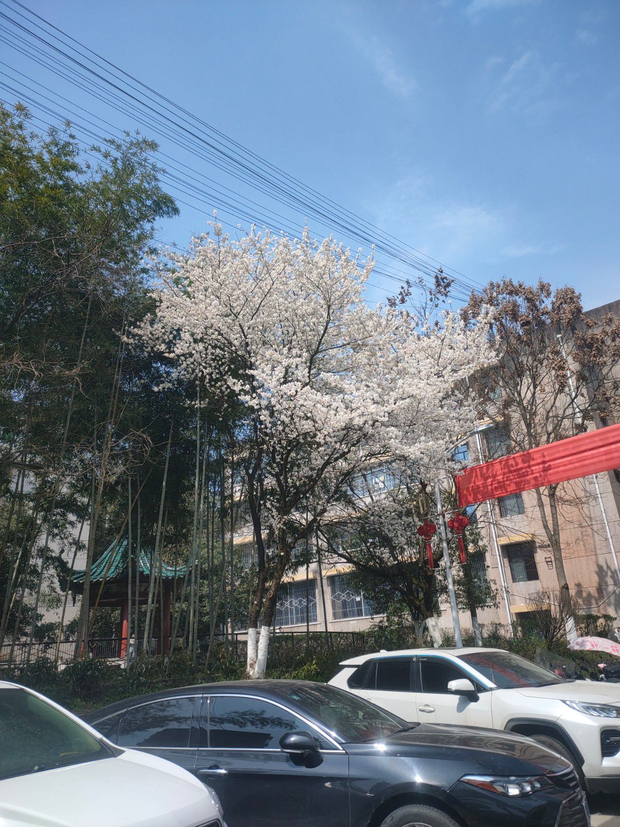 恩施职业技术学院南校区