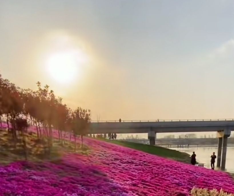 匡衡湖湿地旅行图片 3