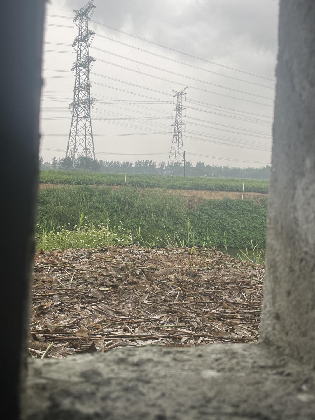 双隆沙滩旅行图片 2