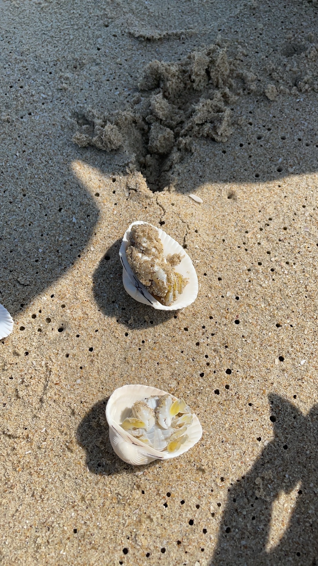 双隆沙滩旅行图片 2