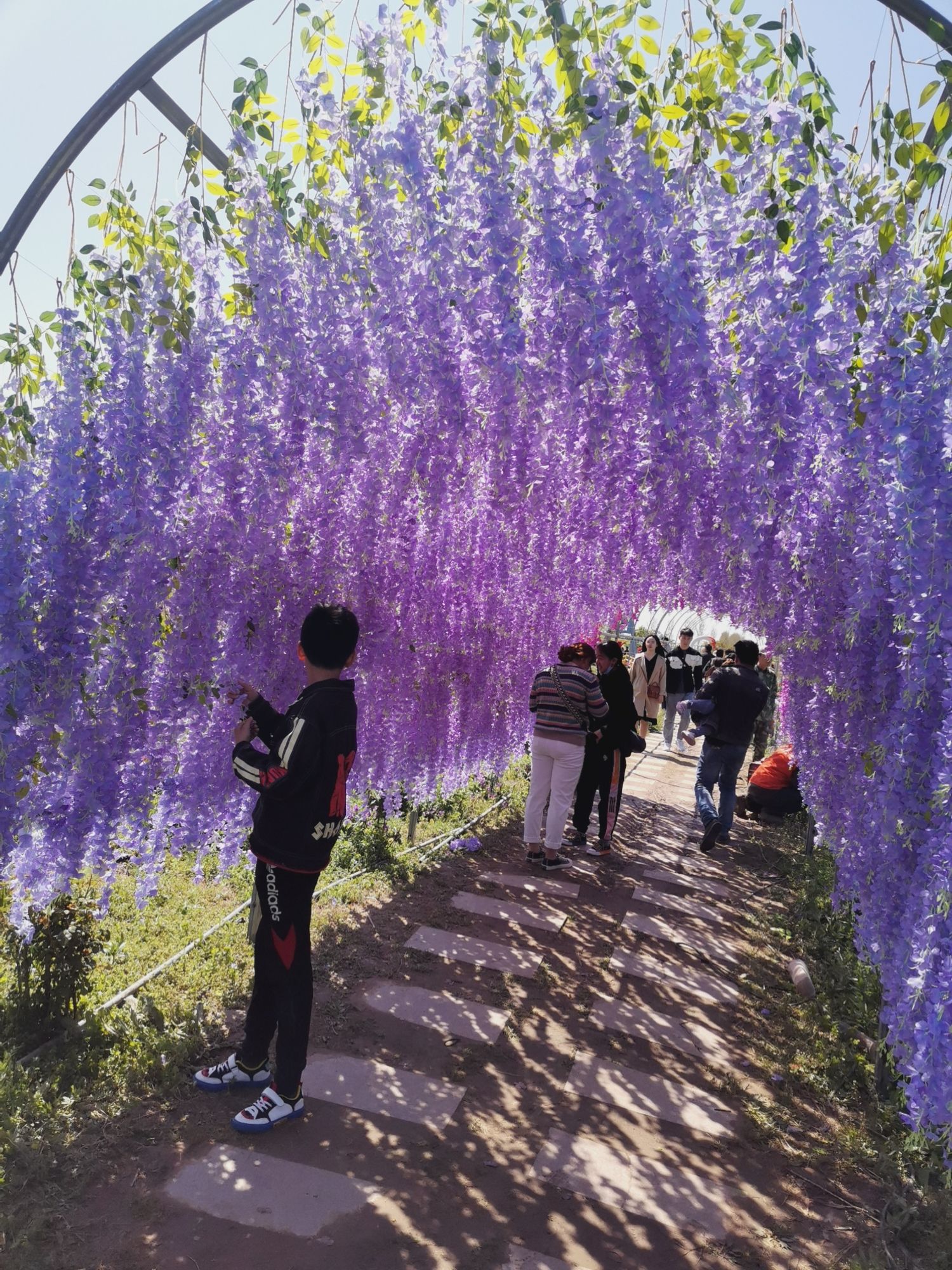恋恋轩双楼花海旅行图片 2