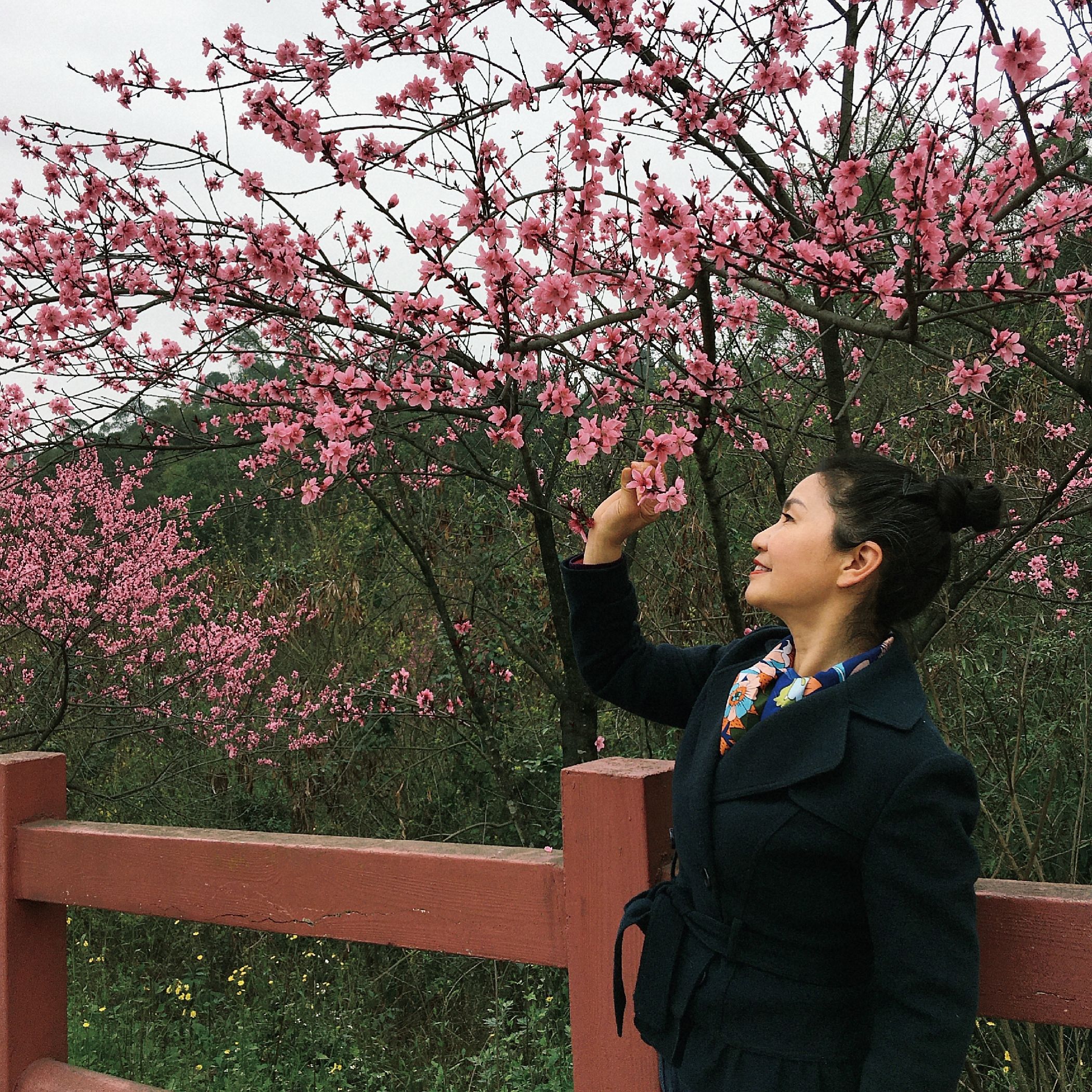 绿心公园旅行图片 3