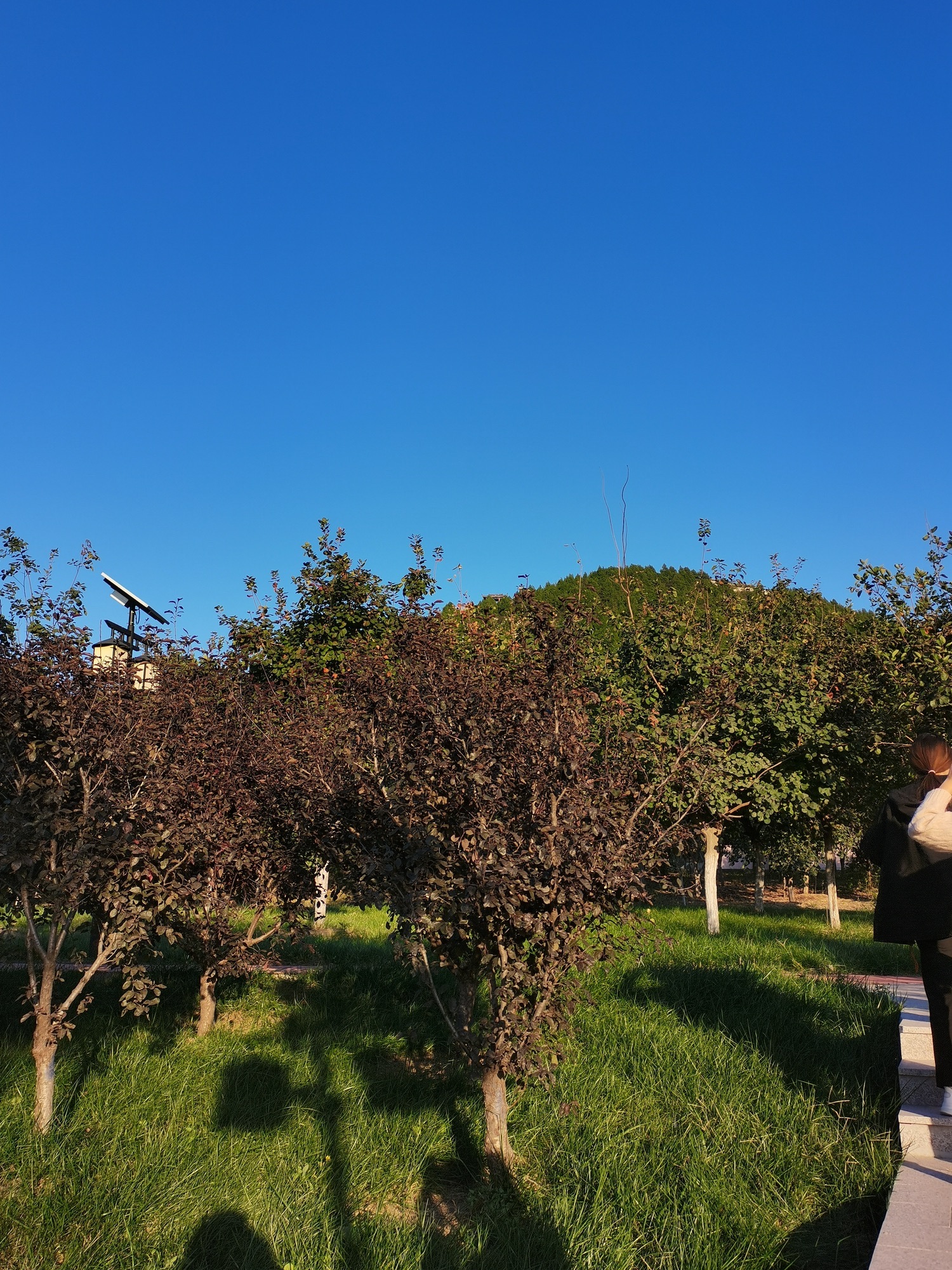 文昌山扁鹊文化主题公园旅行图片 3