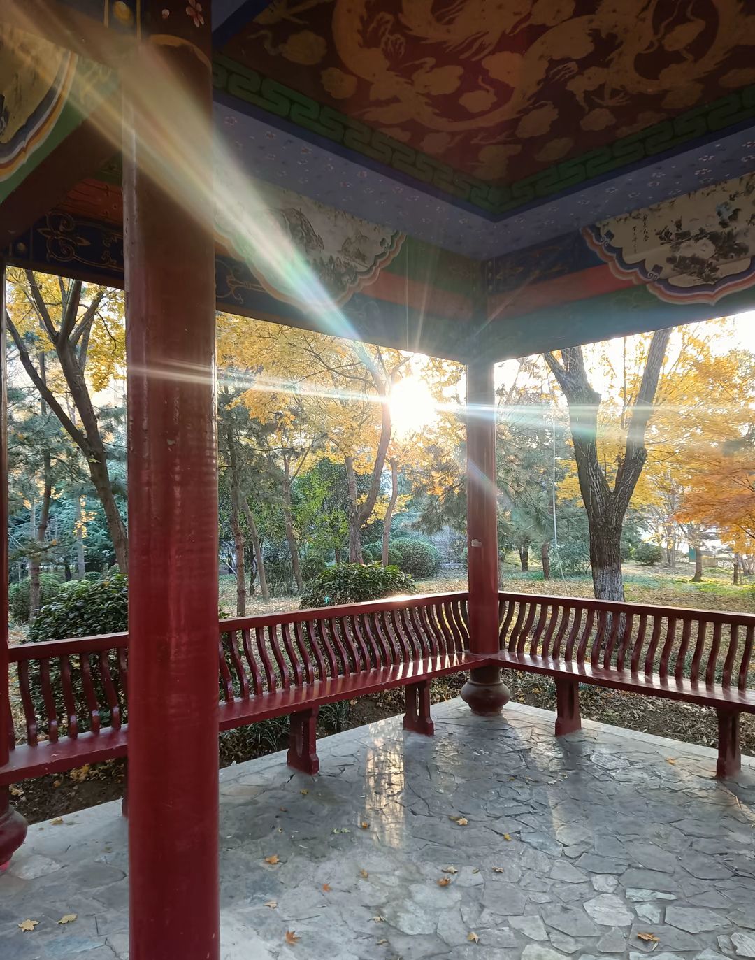 东湖公园旅行图片 1
