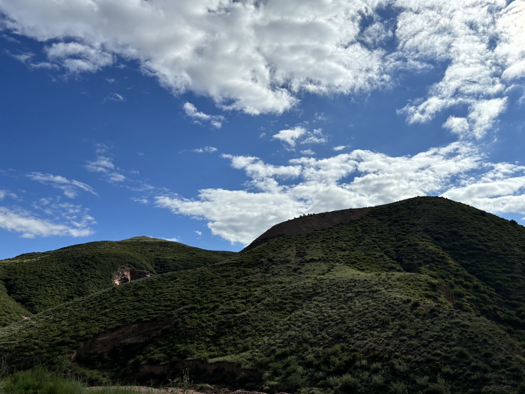 鹿野苑石窟旅行图片 3