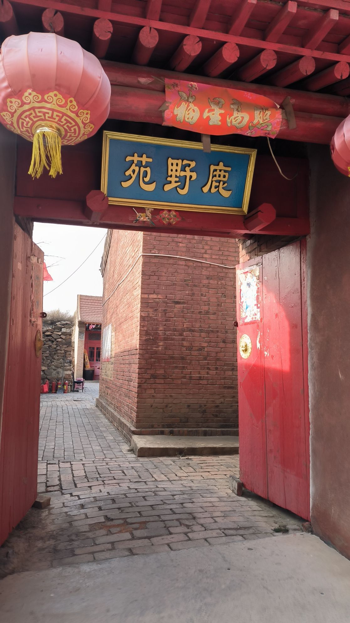 鹿野苑石窟旅行图片 1