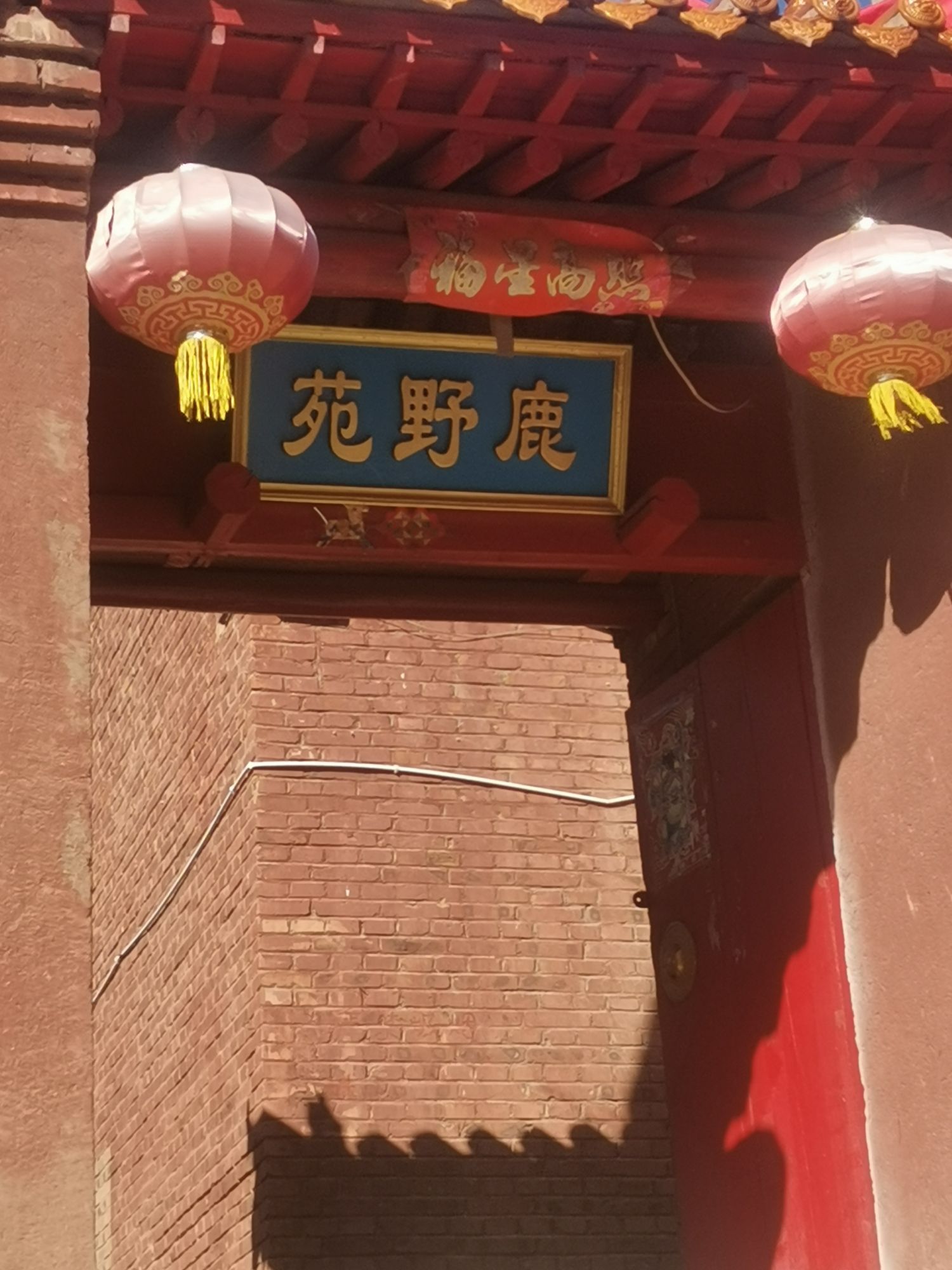 鹿野苑石窟旅行图片 1