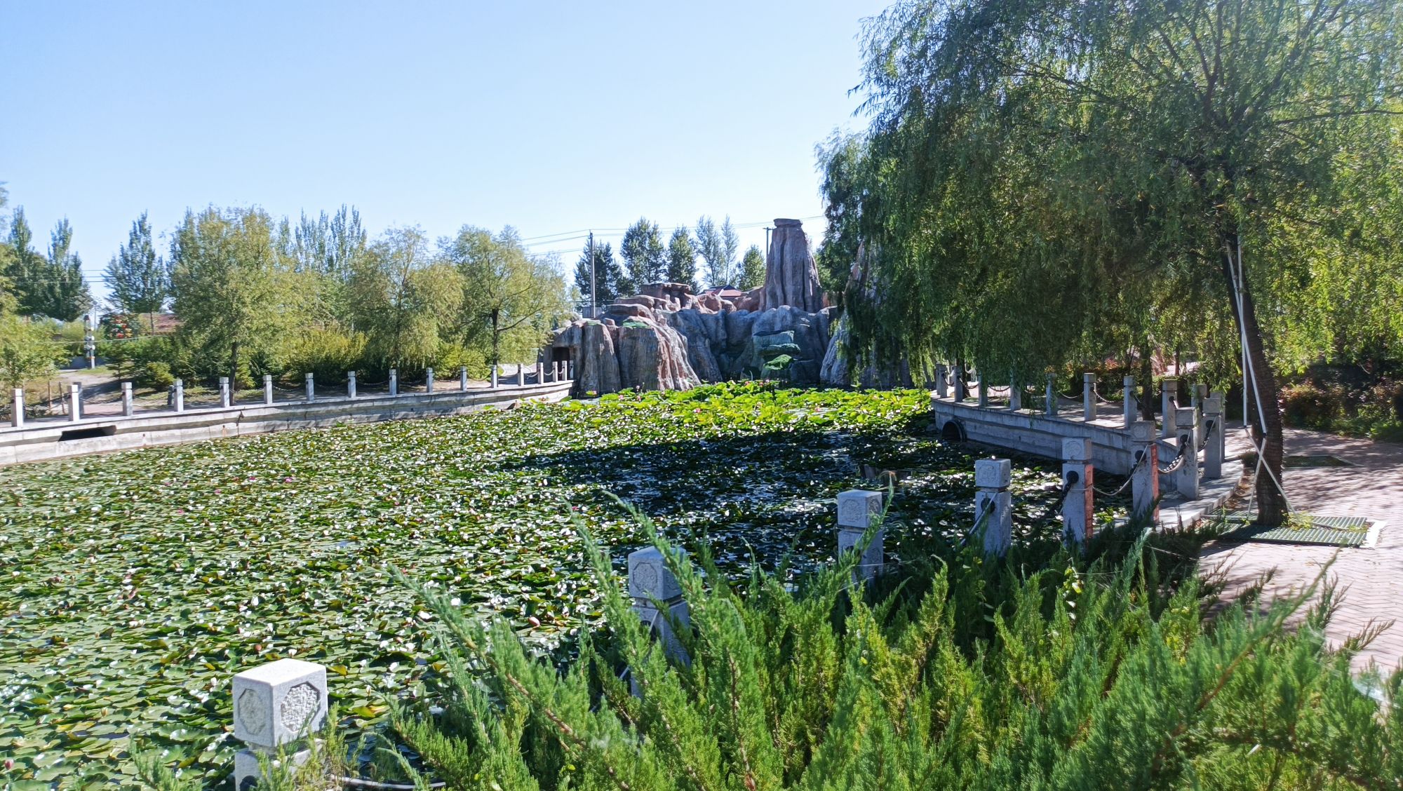 丽水文化公园旅行图片 2