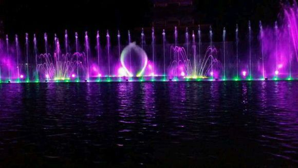丽水文化公园旅行图片 3