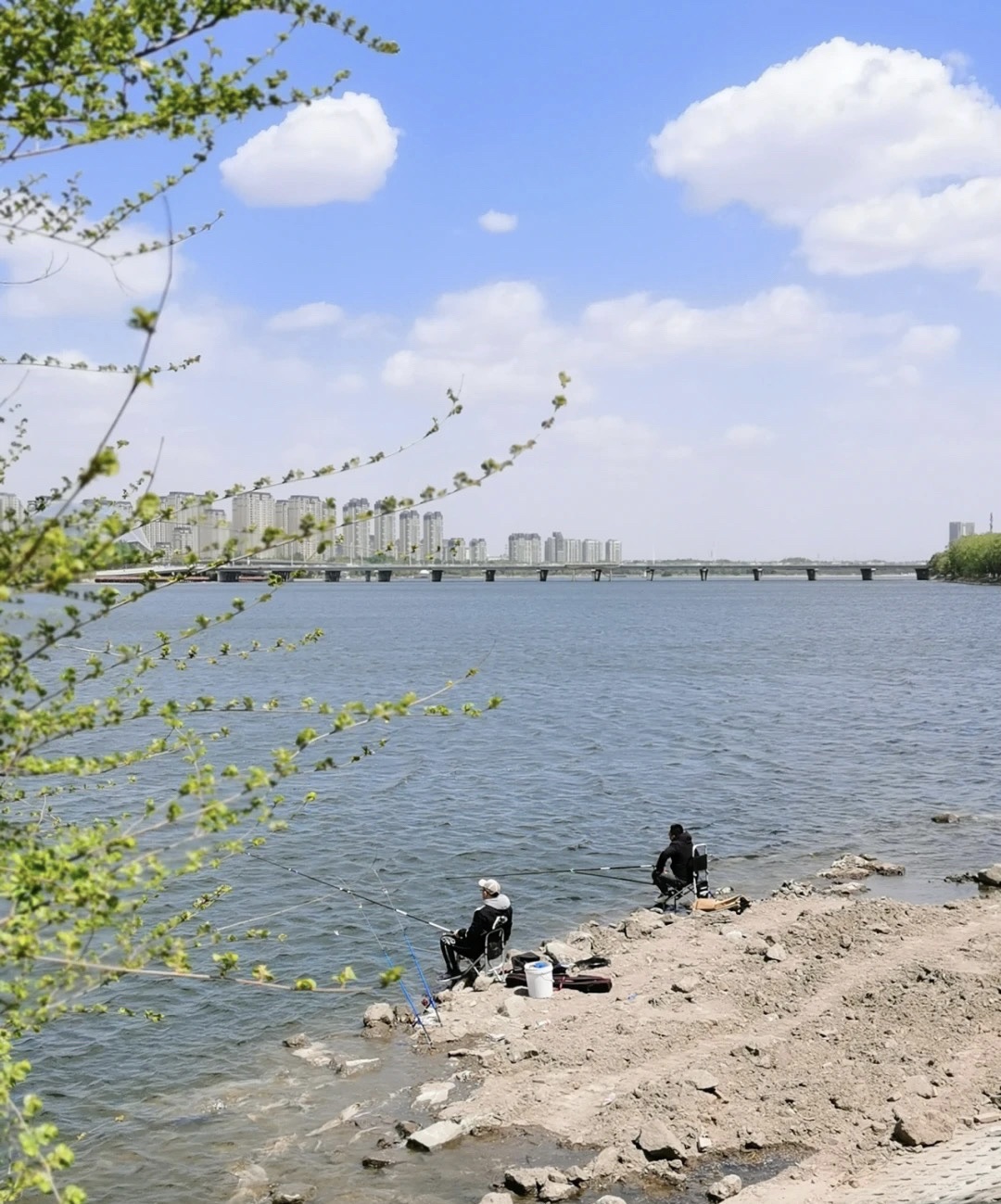 浑南市民公园旅行图片 1