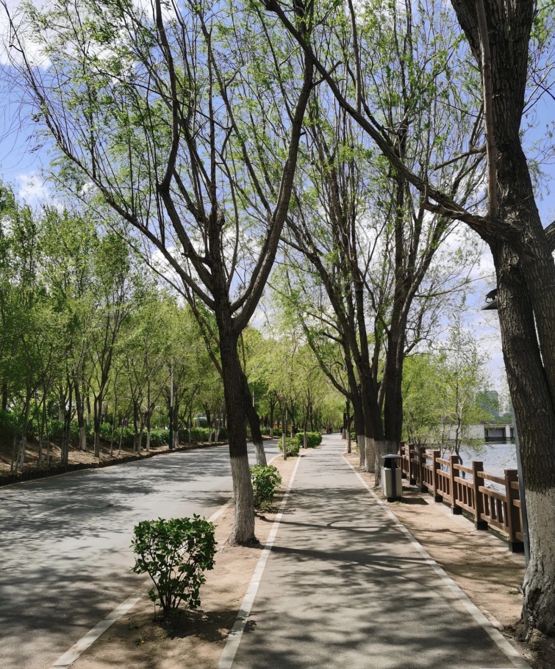 浑南市民公园旅行图片 2