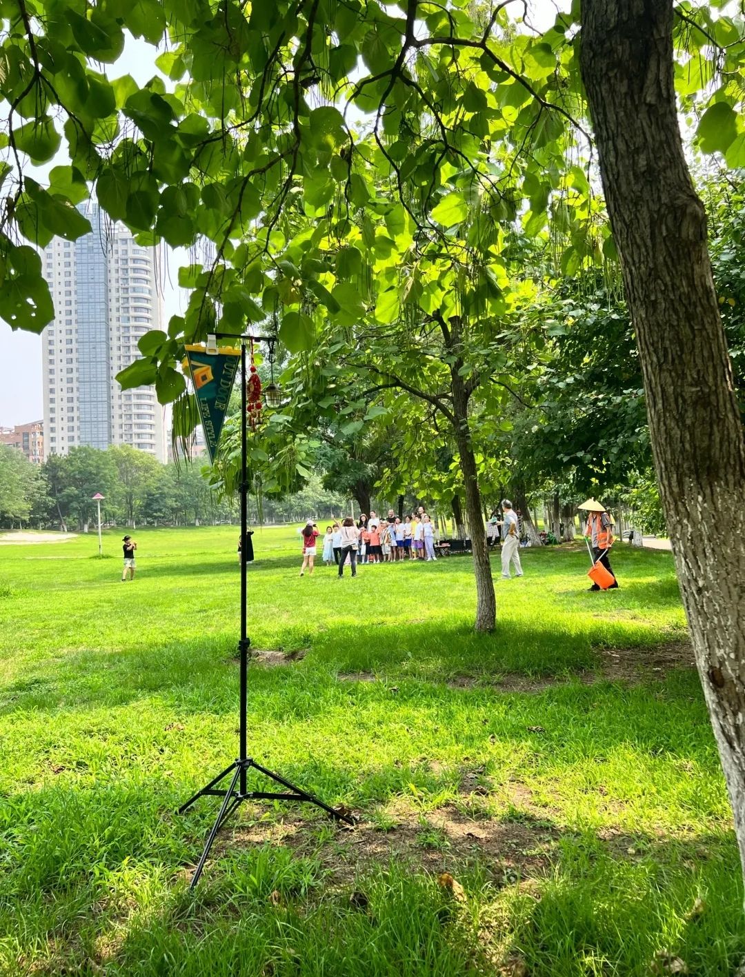 浑南市民公园旅行图片 2