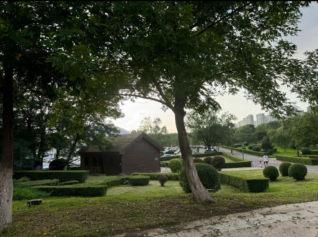 浑南市民公园旅行图片 3