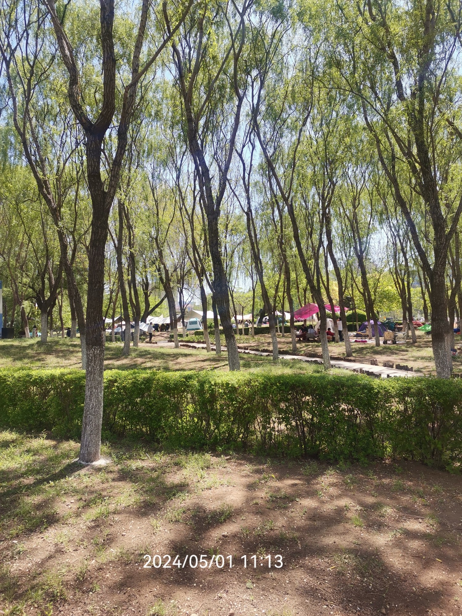 浑南市民公园旅行图片 2