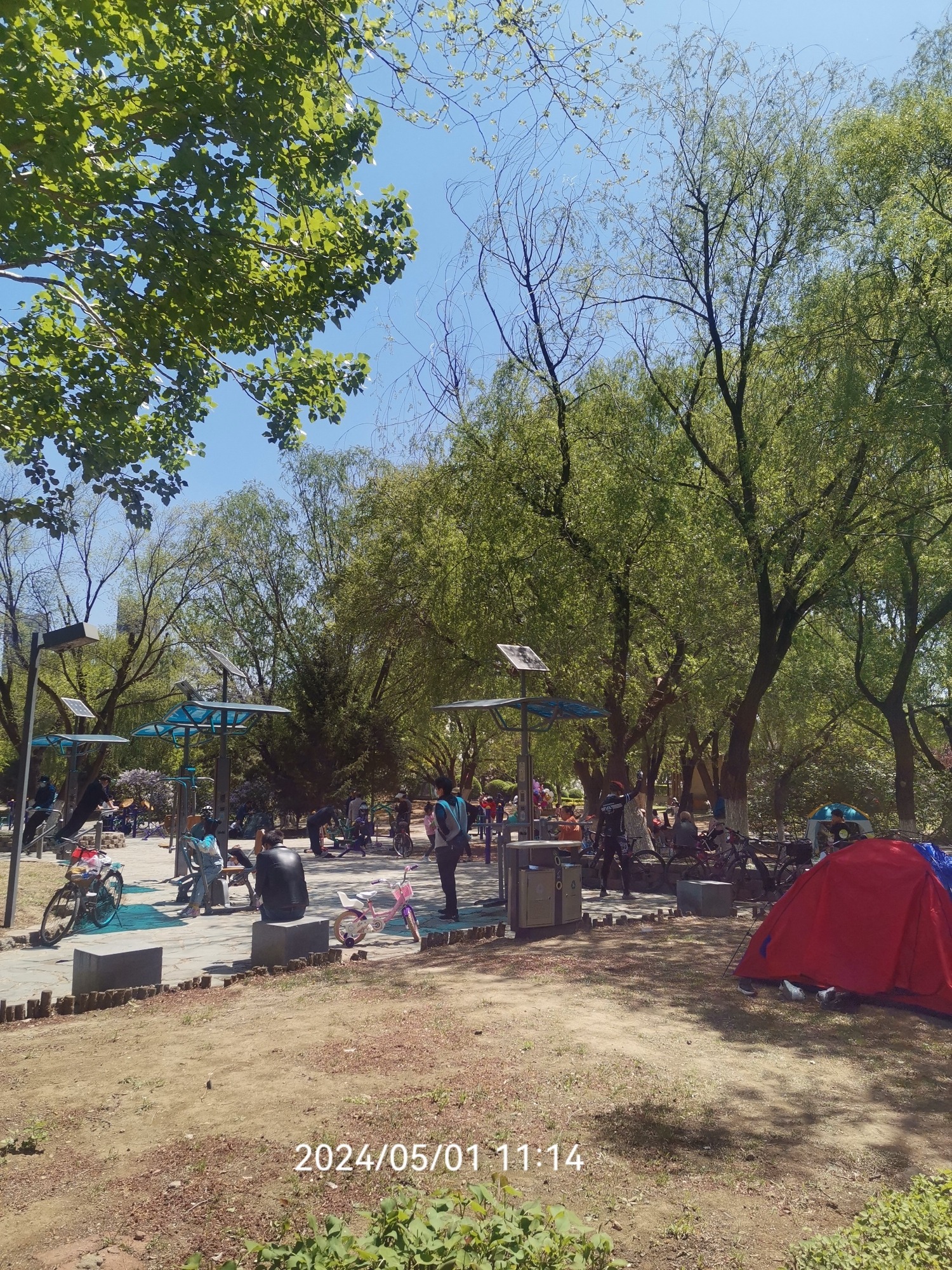 浑南市民公园旅行图片 3