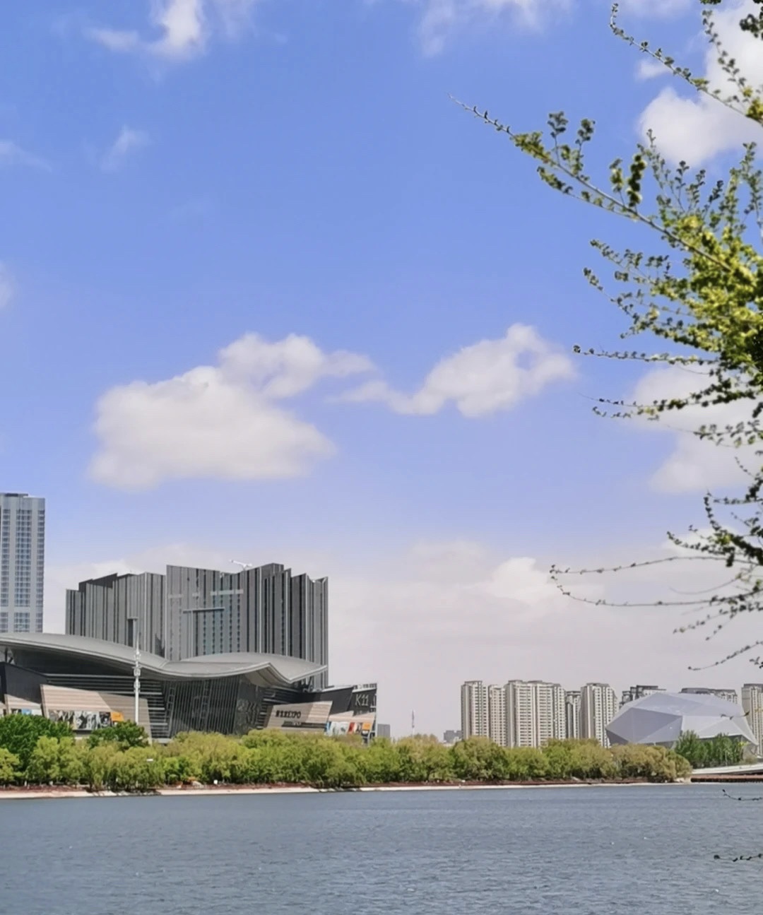 浑南市民公园旅行图片 3